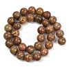 Natural Unakite Beads Strands G-F792-C06-02-3