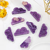 Natural Lepidolite Display Decorations G-PW0004-04-1