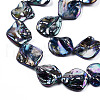 Freshwater Shell Beads Strands X-SHEL-N026-204-3