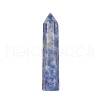 Point Tower Natural Natural Blue Spot Jasper Home Display Decoration PW-WG24364-05-1
