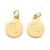 Golden Plated 304 Stainless Steel Charms STAS-C022-01E-G-2