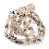 Natural Botswana Agate Beads Strands G-E607-A10-2