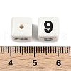 Handmade Porcelain Beads PORC-R003-07-09-3