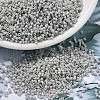 MIYUKI Delica Beads SEED-X0054-DB2366-1