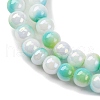 Pearlized Handmade Lampwork Beads Strands LAMP-R020-04H-3