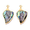 304 Stainless Steel Pave Natural Paua Shell Pendants STAS-N115-20B-G-1