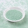 MIYUKI Round Rocailles Beads X-SEED-G007-RR0370-2