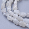 Natural White Moonstone Beads Strands X-G-P433-16-3