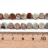Natural Shoushan Stone Beads Strands G-N346-06A-05-5
