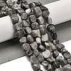 Natural Map Stone Beads Strands G-P497-01E-58-2