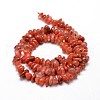 Dyed Natural Carnelian Chip Beads Strands X-G-E271-74-2