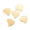 201 Stainless Steel Pendants STAS-K217-70G-3
