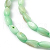 Natural Freshwater Shell Dyed Beads Strands SHEL-M018-13-03-3