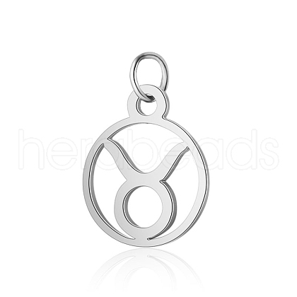Non-Tarnish 304 Stainless Steel Charms STAS-T036-T513-A2-1