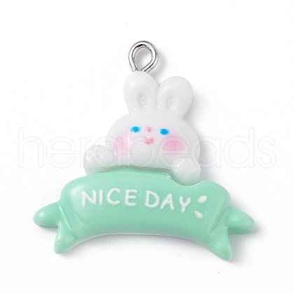 Opaque Resin Pendants RESI-D064-02P-08-1