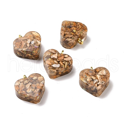 Transparent Resin Natural Imperial Jasper Dyed Chips Pendants G-E185-12G-04-1