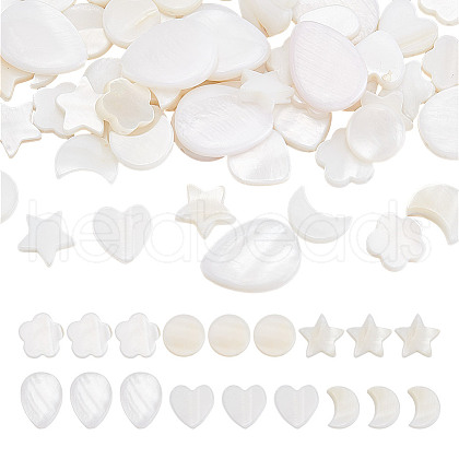 GOMAKERER 120Pcs 6 Styles Natural Shell Beads SHEL-GO0001-07-1