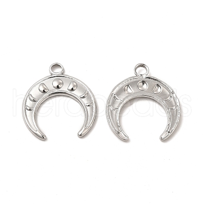 Non-Tarnish 304 Stainless Steel Pendants STAS-I671-14P-1