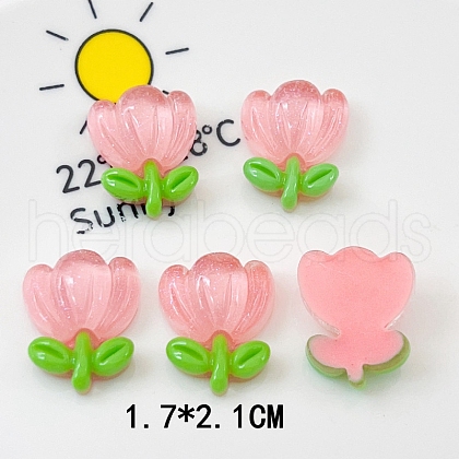 Translucent Resin Decoden Cabochons PW-WG80860-04-1