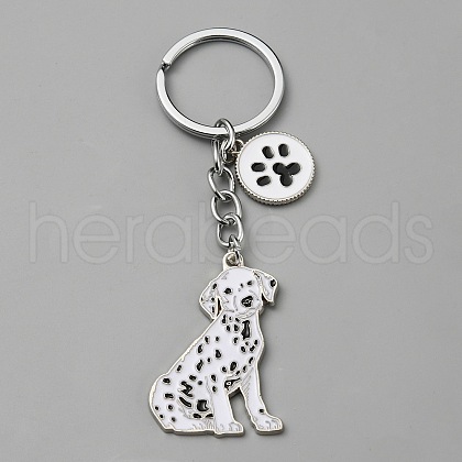 Alloy Keychain KEYC-SZC0006-01L-1