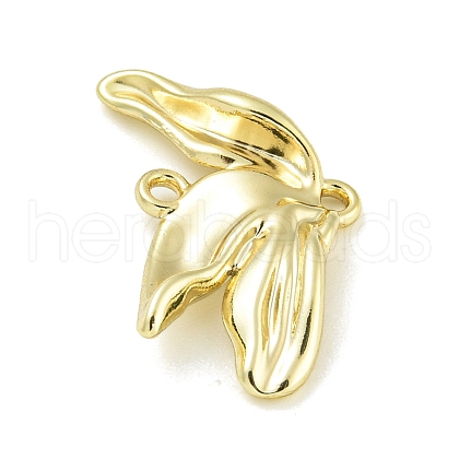 Alloy Connector Charms PALLOY-F310-03G-02-1