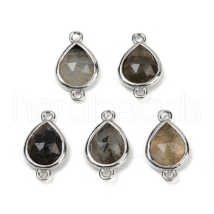Natural Labradorite Faceted Connector Charms G-L514-048G-05-1