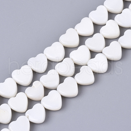 Natural Freshwater Shell Beads Strands X-SHEL-N027-01-1