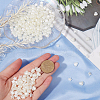 SUNNYCLUE 800Pcs 2 Styles ABS Plastic Imitation Pearl Beads KY-SC0002-29-3
