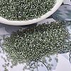 MIYUKI Delica Beads SEED-J020-DB2378-4