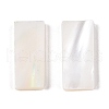 Natural White Shell Cabochons SSHEL-T017-07-3