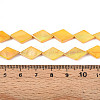 Dyed Natural Freshwater Shell Beads Strands SHEL-T020-13C-4