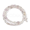 Natural Fluorite Beads Strands G-K362-I11-06-3