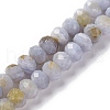 Natural Blue Lace Agate Beads Strands G-K380-A33-04-2