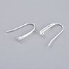 304 Stainless Steel Earring Hooks STAS-K211-02S-2