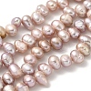 Natural Cultured Freshwater Pearl Beads Strands PEAR-A006-25B-2