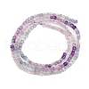 Natural Fluorite Beads Strands G-P457-B01-55-4