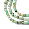 Natural Chrysoprase Beads Strands G-RM2025-A01-3mm-4