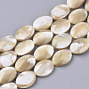 Natural Trochid Shell/Trochus Shell Beads Strands SSHEL-N032-05-1