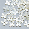 Natural White Shell Beads SSHEL-S260-056B-01-1