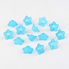 Transparent Acrylic Beads PL560-9-2