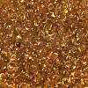 Transparent Colours Glass Seed Beads SEED-P006-02A-15-3