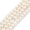 Natural Cultured Freshwater Pearl Beads Strands PEAR-P062-03C-2