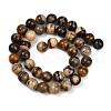 Natural Zebra Jasper Beads Strands G-F792-C13-01-3