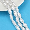 Electroplate Porcelain Imitation Pearl Beads Strands BSHE-Z009-09-1