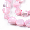 Natural Trochid Shell/Trochus Shell Beads Strands SSHEL-N032-49-A06-3