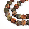 Natural Picasso Jasper/Polychrome Jasper Beads Strands G-N346-06A-04-4