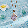 Natural Amethyst Irregular Nugget Pendant Necklace NJEW-AB00004-4