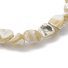 Natural Trochus Shell Beads Stretch Bracelets for Men Women BJEW-JB11685-4