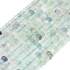 Natural Fluorite Beads Strands G-P575-A56-8x5mm-2