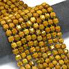 Natural Yellow Mookaite Beads Strands G-K389-A45-01-2